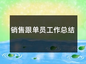 销售跟单员工作总结