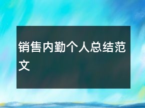 销售内勤个人总结范文
