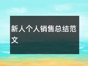 新人个人销售总结范文