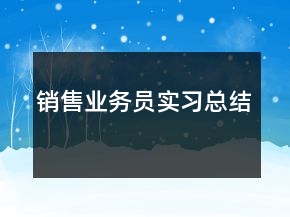 销售业务员实习总结