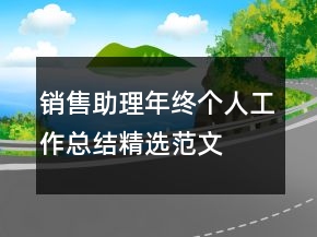 销售助理年终个人工作总结精选范文