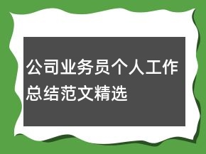公司业务员个人工作总结范文精选