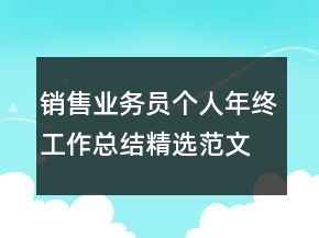 销售业务员个人年终工作总结精选范文