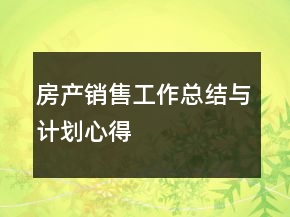 房产销售工作总结与计划心得