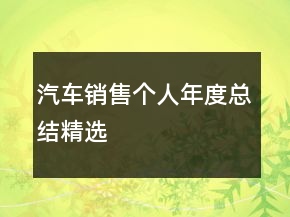 汽车销售个人年度总结精选