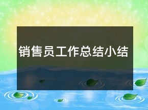 销售员工作总结小结