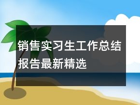 销售实习生工作总结报告最新精选