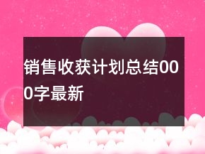 销售收获计划总结000字最新