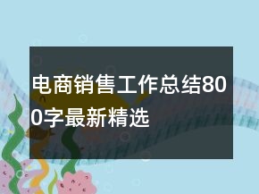 电商销售工作总结800字最新精选