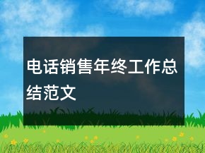 电话销售年终工作总结范文