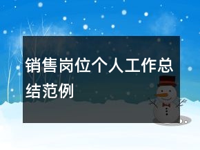 销售岗位个人工作总结范例