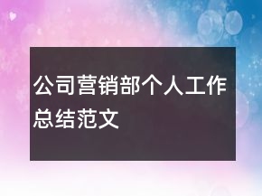 公司营销部个人工作总结范文