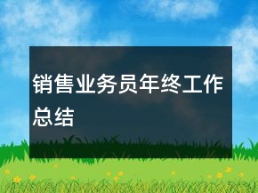 销售业务员年终工作总结