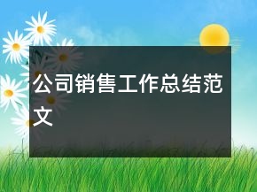 公司销售工作总结范文