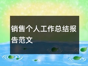 销售个人工作总结报告范文