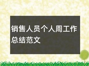 销售人员个人周工作总结范文