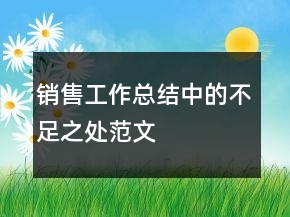 销售工作总结中的不足之处范文