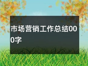 市场营销工作总结000字