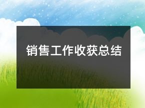 销售工作收获总结