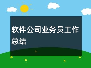 软件公司业务员工作总结