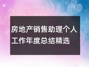 房地产销售助理个人工作年度总结精选