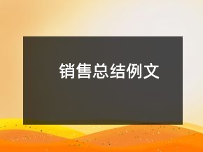 销售总结例文