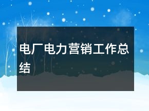 电厂电力营销工作总结