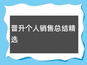 晋升个人销售总结精选