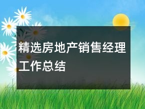 精选房地产销售经理工作总结