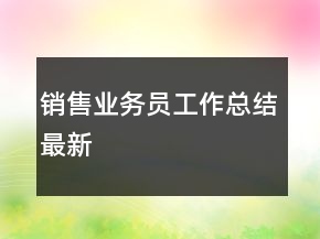 销售业务员工作总结最新