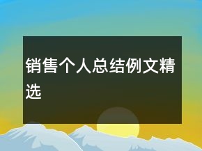 销售个人总结例文精选