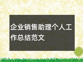 企业销售助理个人工作总结范文