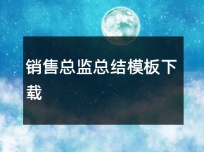 销售总监总结模板下载
