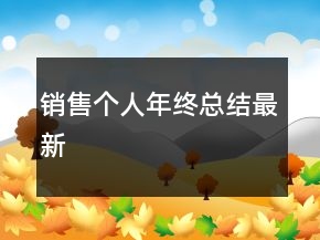 销售个人年终总结最新
