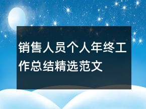 销售人员个人年终工作总结精选范文