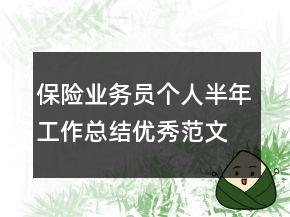 保险业务员个人半年工作总结优秀范文