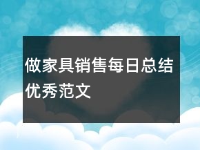 做家具销售每日总结优秀范文