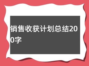销售收获计划总结200字
