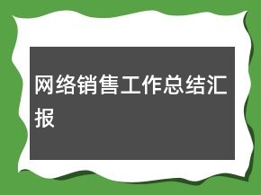 网络销售工作总结汇报