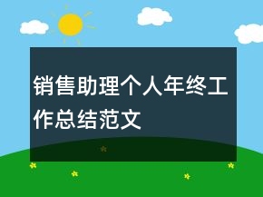 销售助理个人年终工作总结范文
