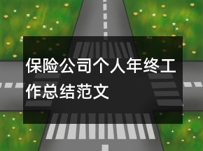 保险公司个人年终工作总结范文