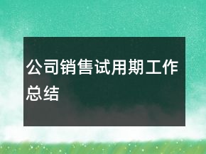 公司销售试用期工作总结