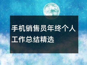 手机销售员年终个人工作总结精选