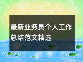 最新业务员个人工作总结范文精选