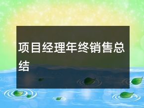项目经理年终销售总结