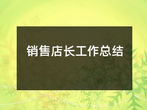 销售店长工作总结