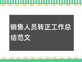 销售人员转正工作总结范文