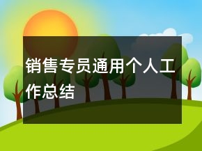 销售专员通用个人工作总结