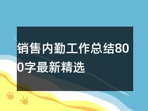 销售内勤工作总结800字最新精选