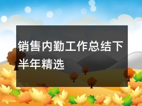 销售内勤工作总结下半年精选